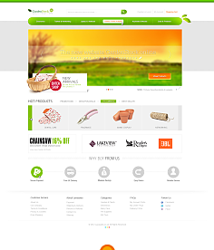 網(wǎng)頁(yè)與網(wǎng)站設(shè)計(jì) 構(gòu)建數(shù)字世界的藝術(shù)與科學(xué)